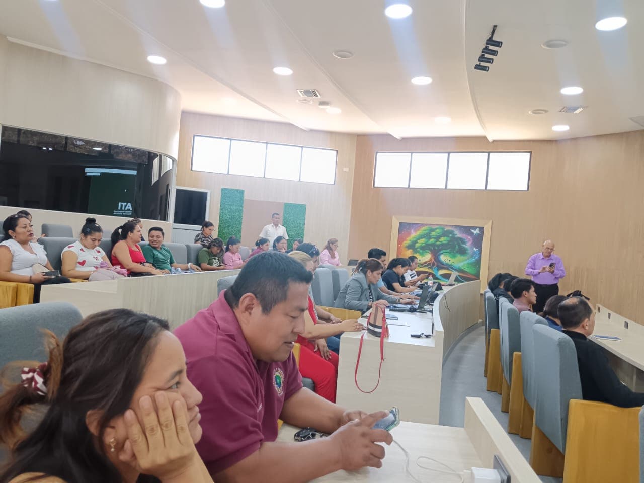 Actividad de REDIPIES 19